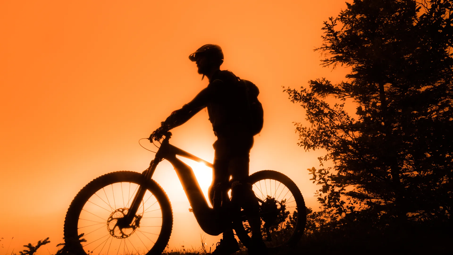 Radfahrer